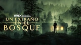Un Extraño en el Bosque