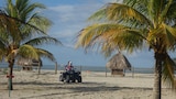 Saving on the Spacious Sands of La Ceiba, Honduras