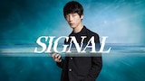 Signal