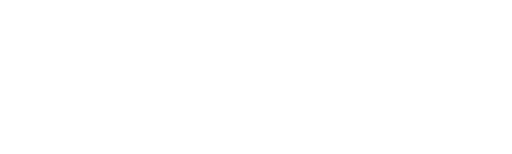 大貓日誌新篇章