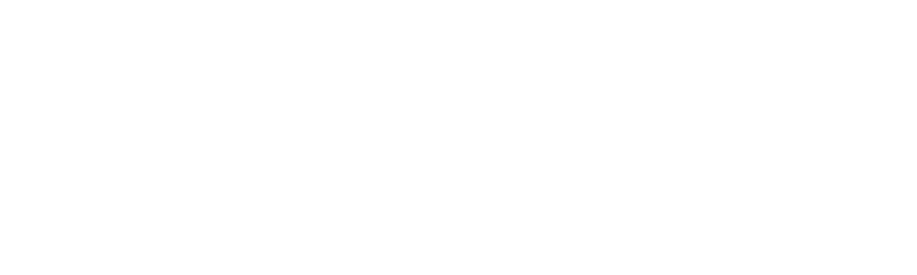 大猫日志新篇章