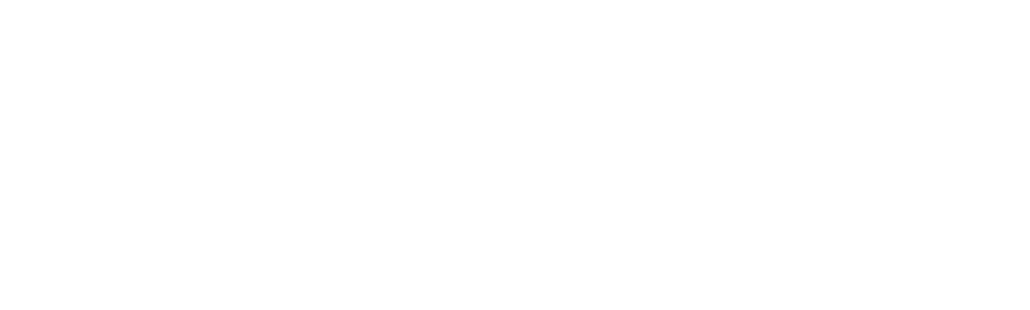 大猫日志新篇章