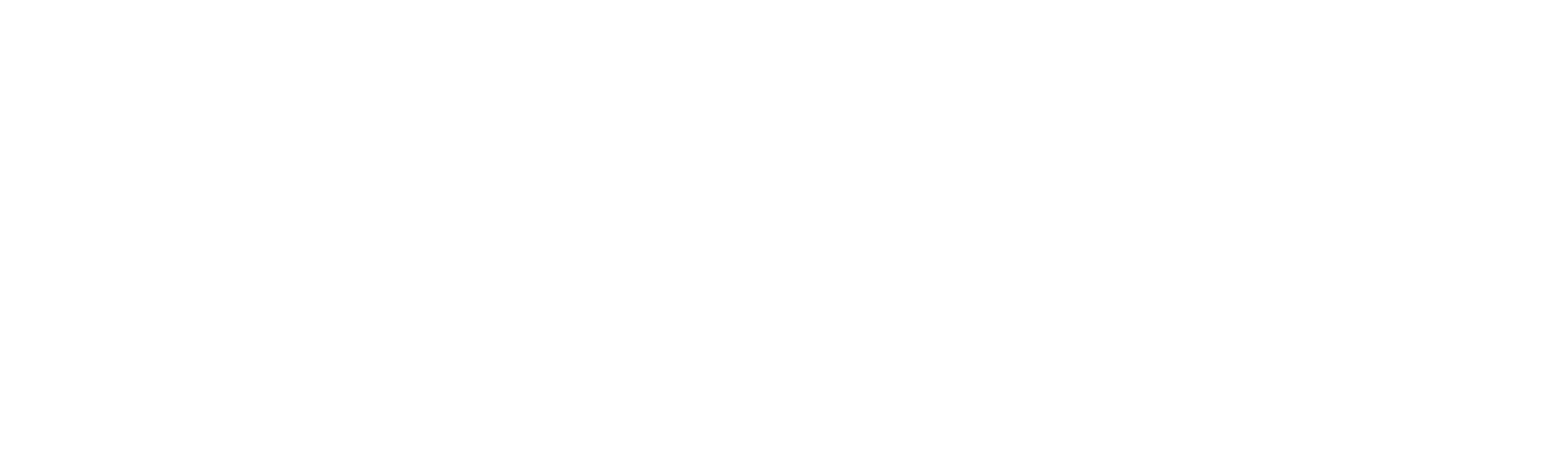 大貓日誌新篇章