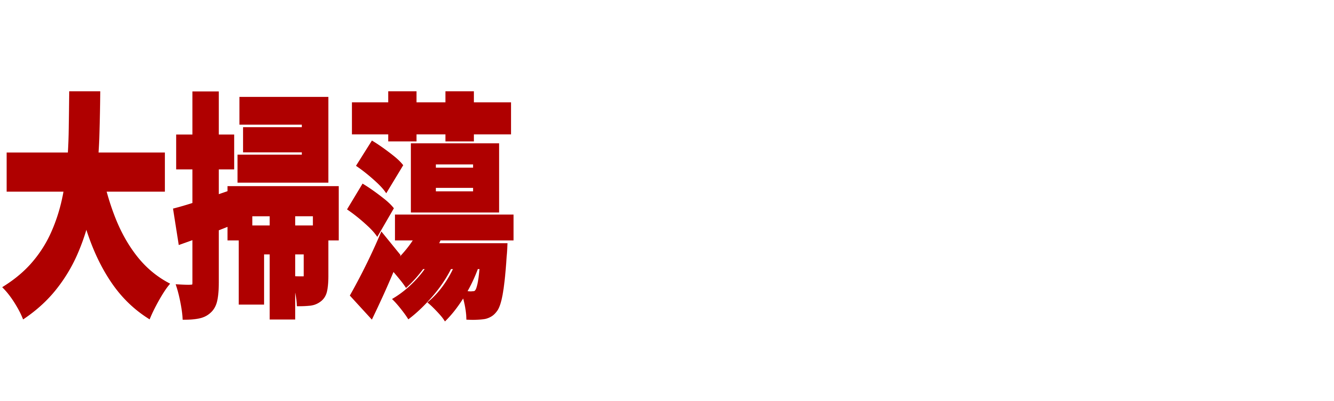 大掃蕩:美國雅利安兄弟會