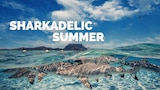 Sharkadelic Summer