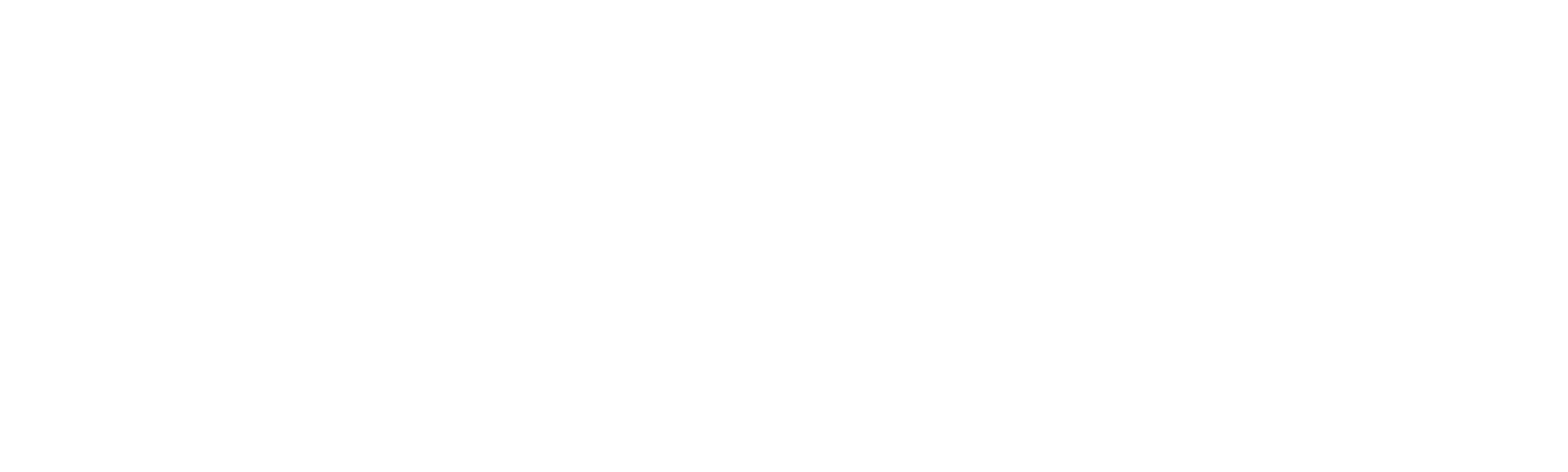 Duff: Ingeniando el Sabor