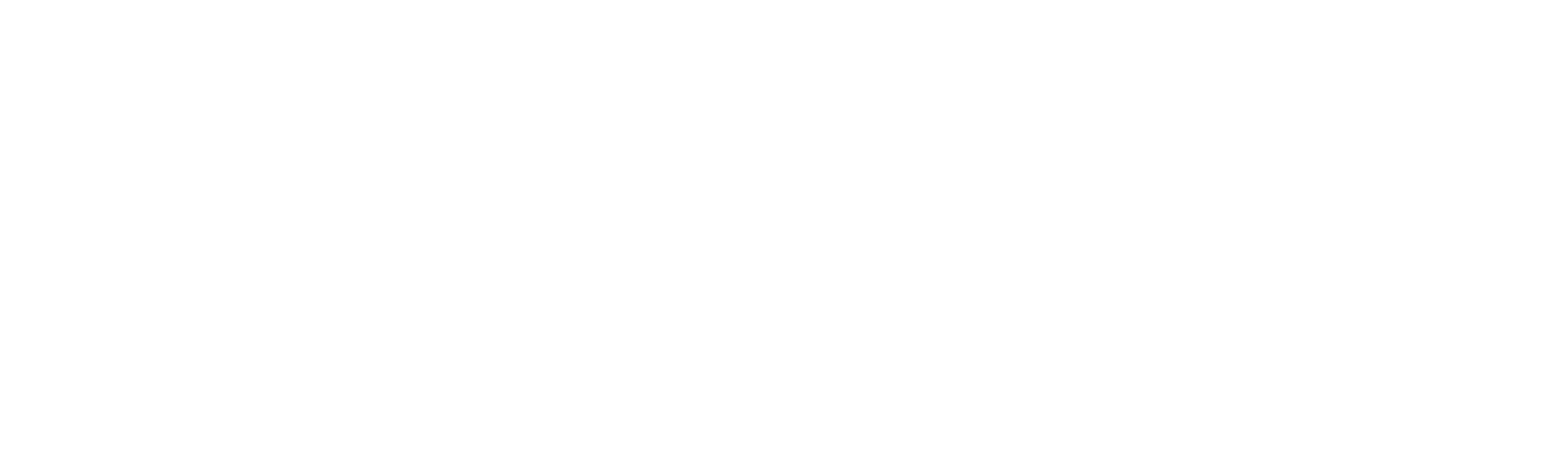 Vanished in New Canaan: An ID Mystery