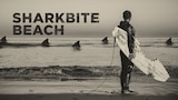Sharkbite Beach