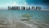 Sangre en la playa