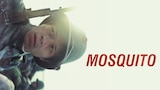 Mosquito