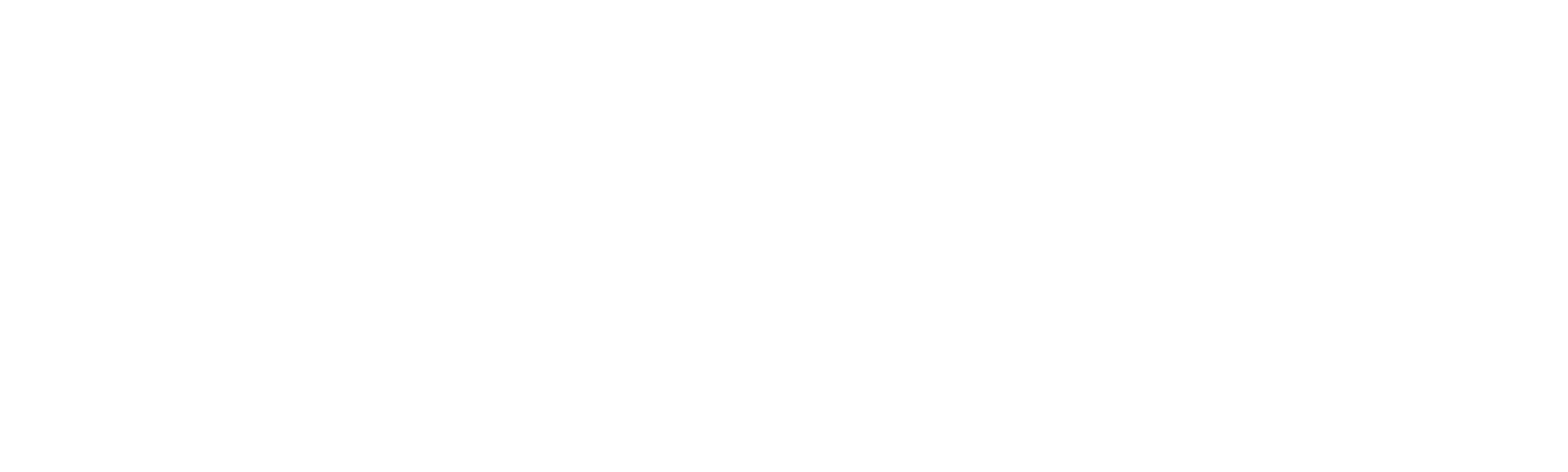 Adriane Galisteu: Moj Ayrton