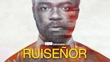 Ruiseñor