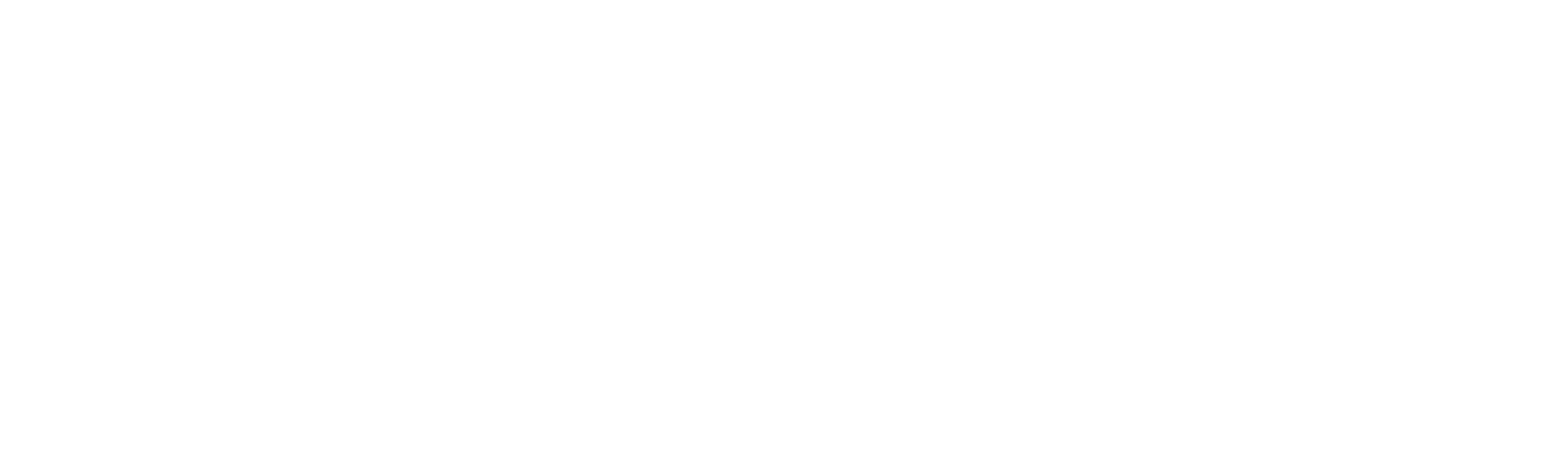 The Circus