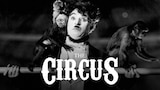 The Circus
