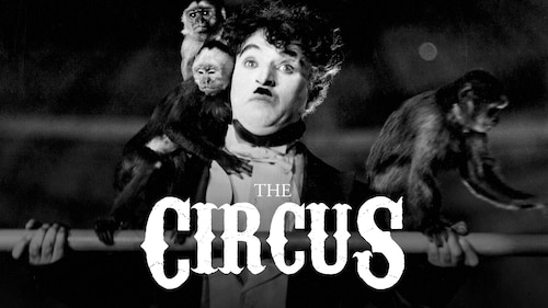 Watch The Circus - Max