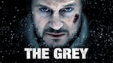 The Grey