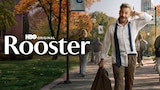 Rooster