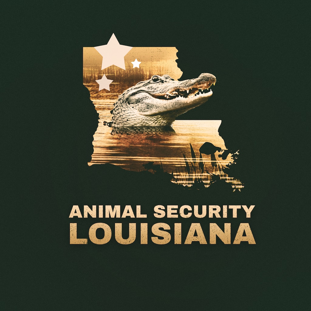 Louisiana Law