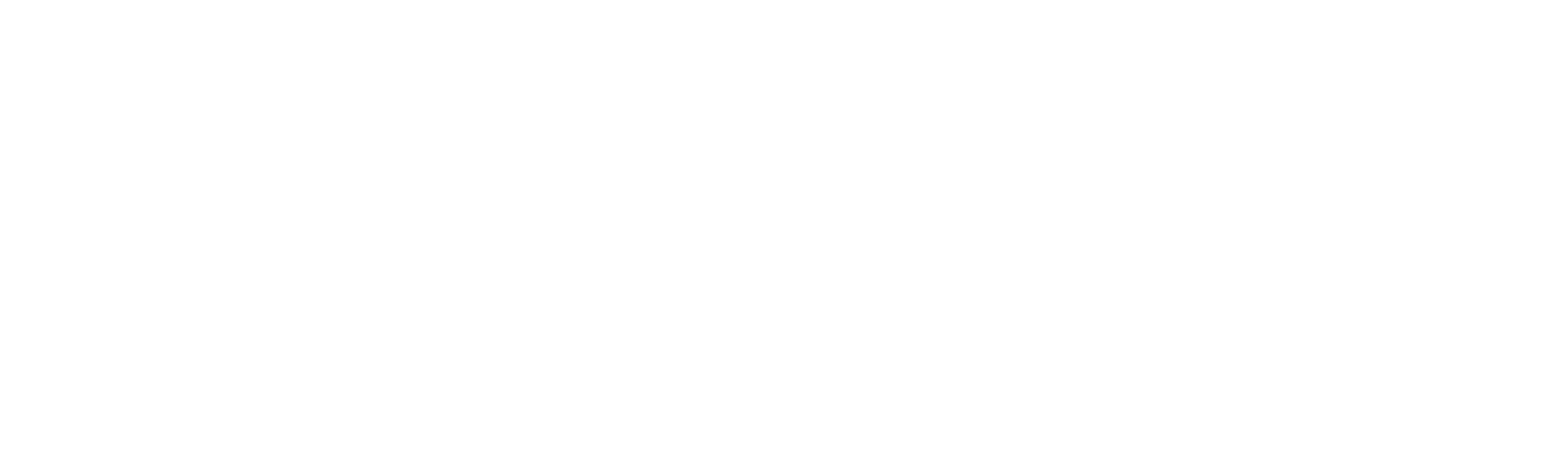 The Fever (HBO)