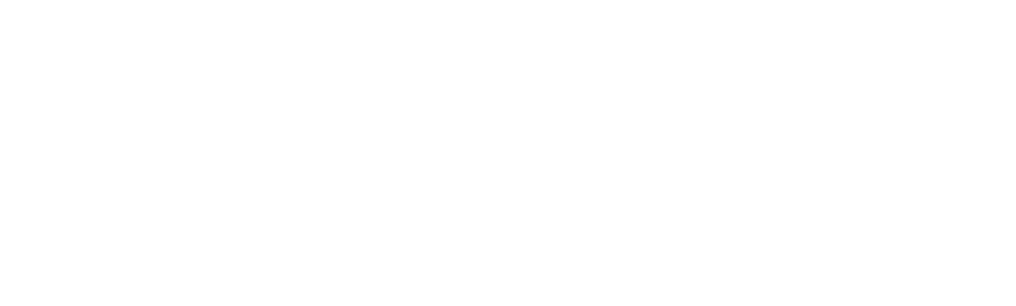 Accidentally Partners