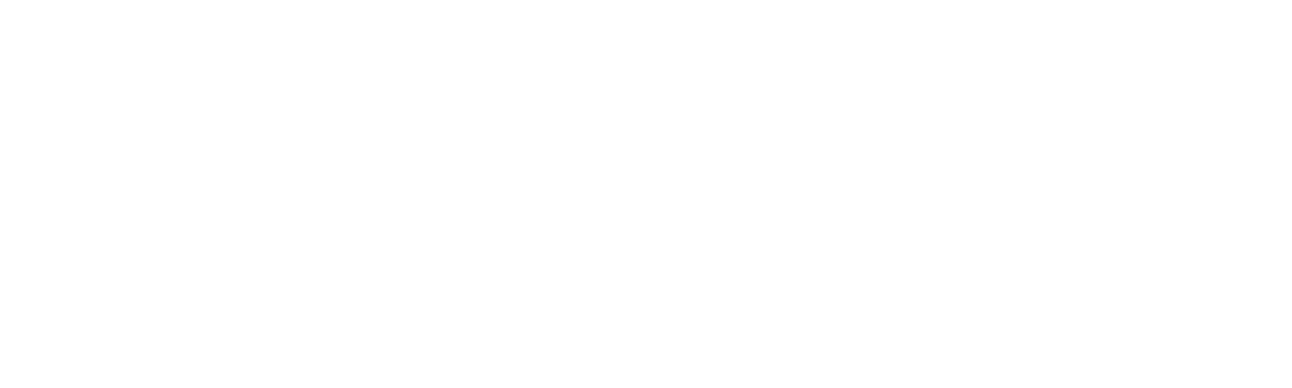 Socios por Accidente