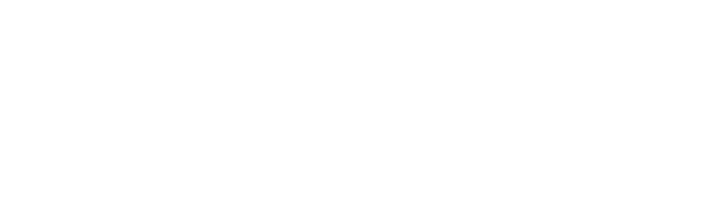 Guerreiro Ninja Americano