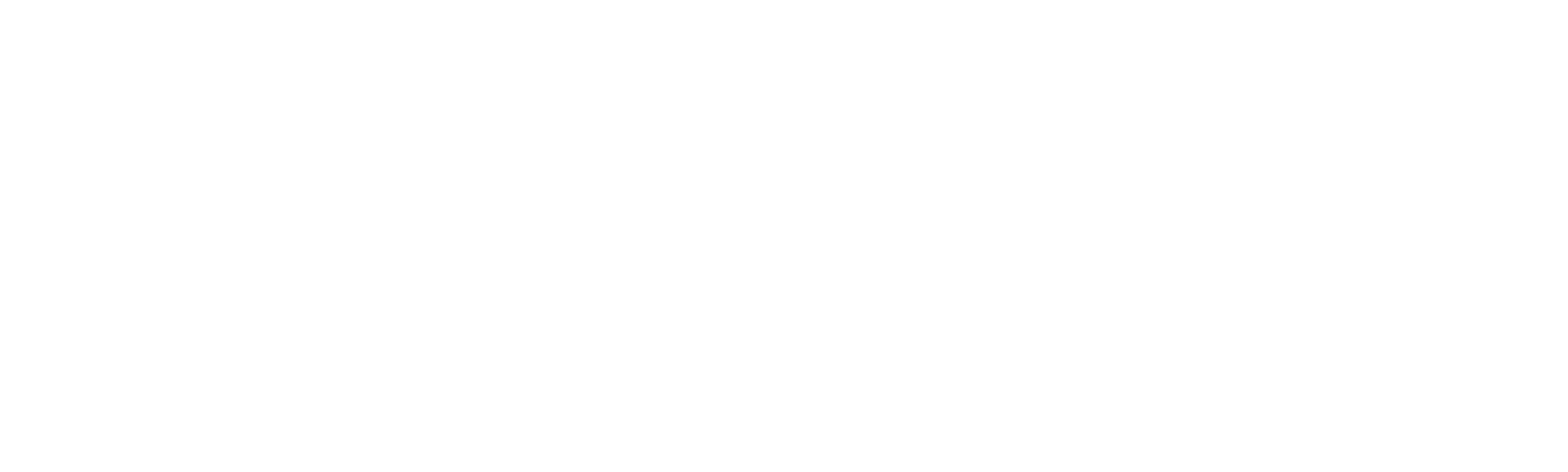 Guerreiro Ninja Americano