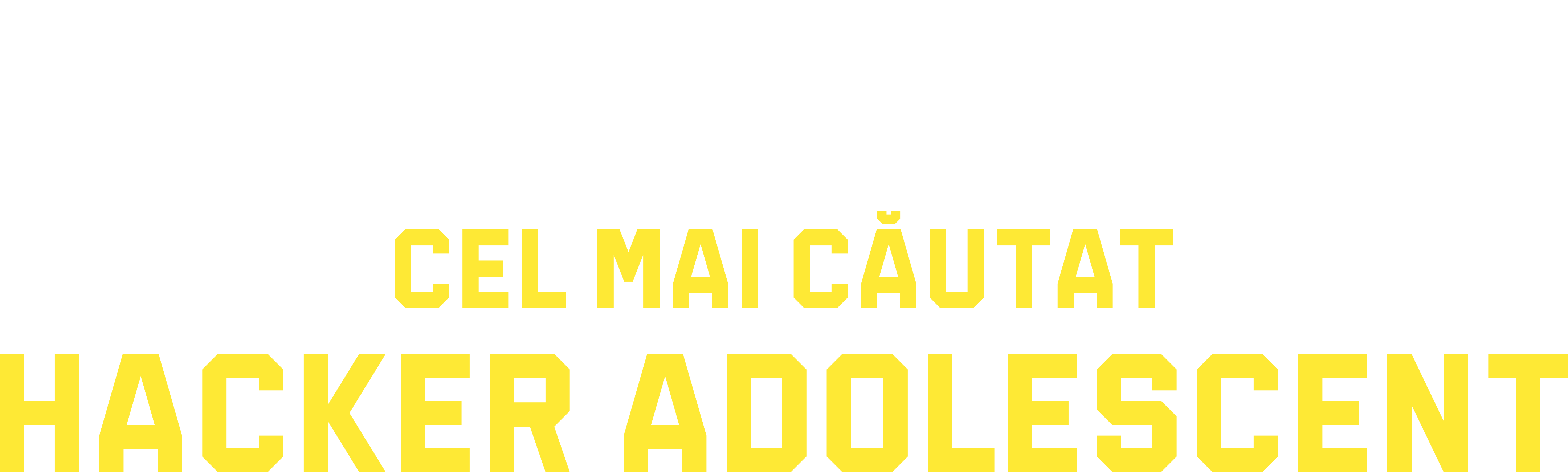 Cel mai căutat hacker adolescent