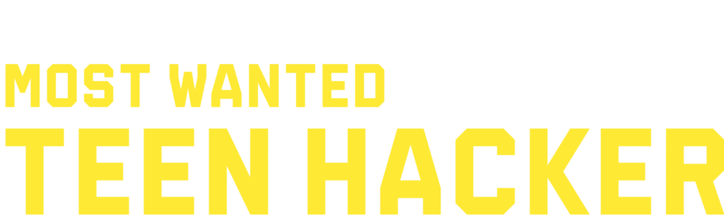 頭號通緝：少年黑客