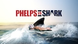 SW17: Phelps V Shark
