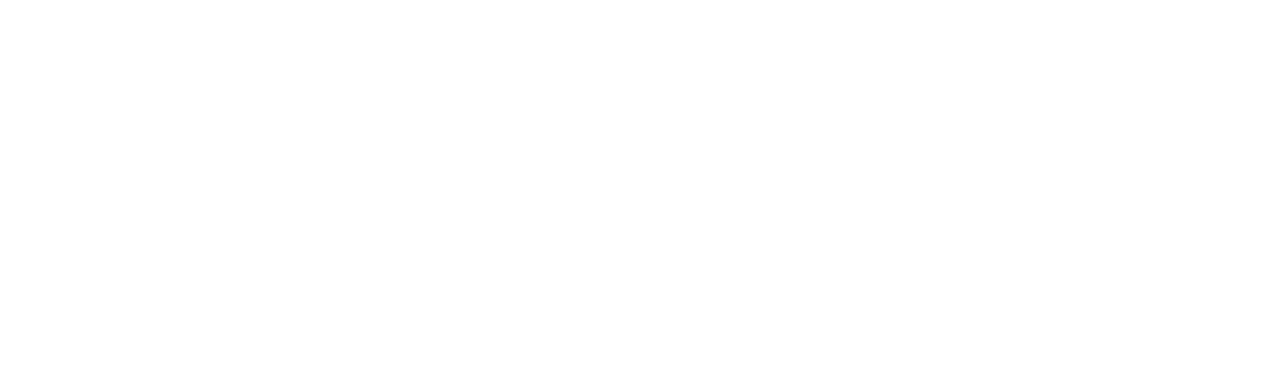 Jiu Jitsu