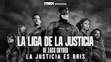 La Liga de la Justicia de Zack Snyder: Edición la Justicia es Gris