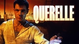Querelle
