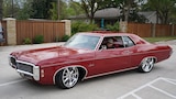 Unearthed Impala Treasure