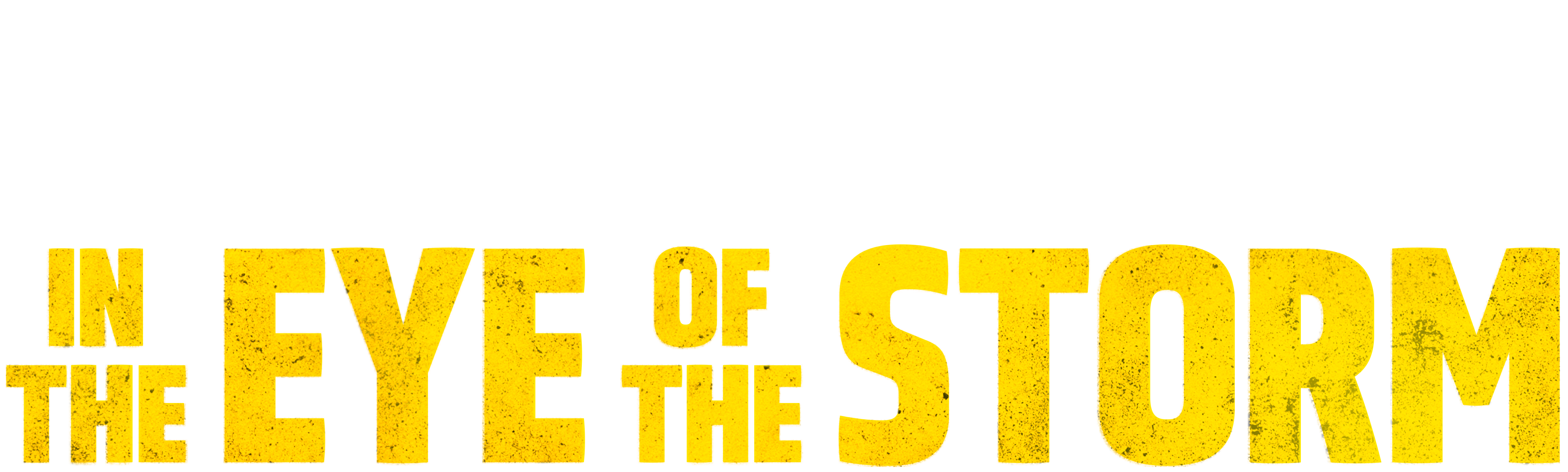 In the Eye of the Storm