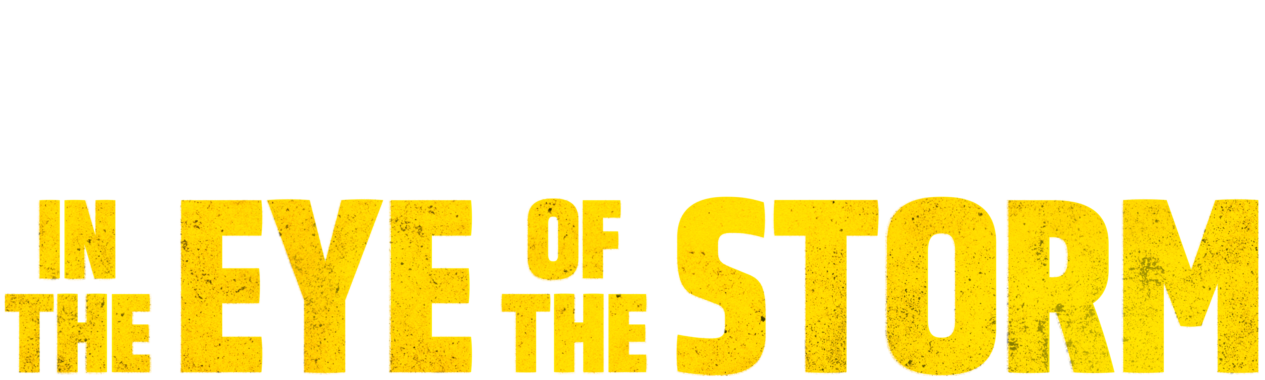 In the Eye of the Storm