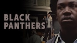 Black Panthers