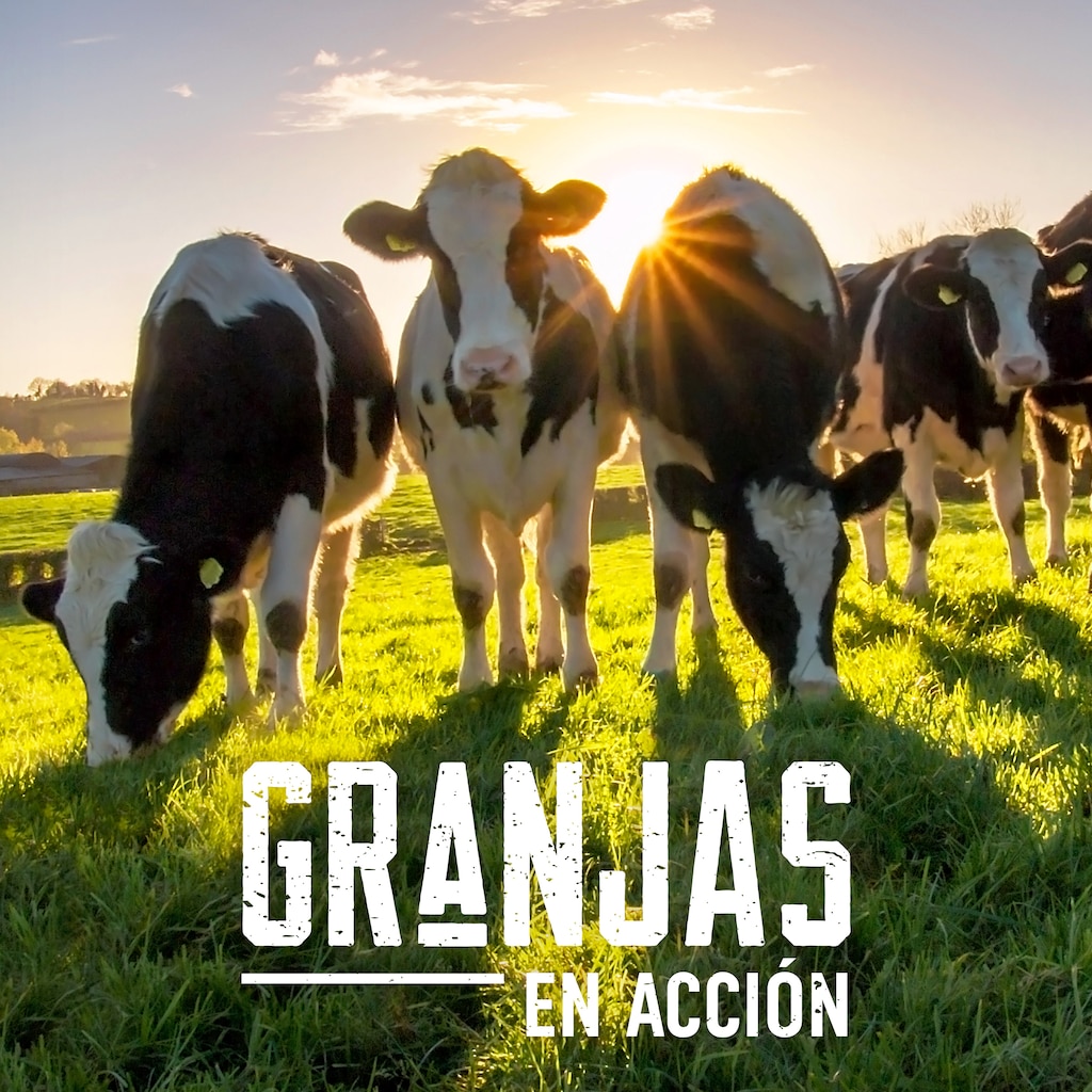 Granjas En Acción