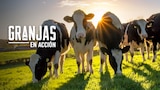 Granjas En Acción