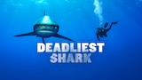 Deadliest Sharks