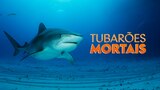 Tubarões Mortais