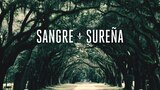Sangre sureña
