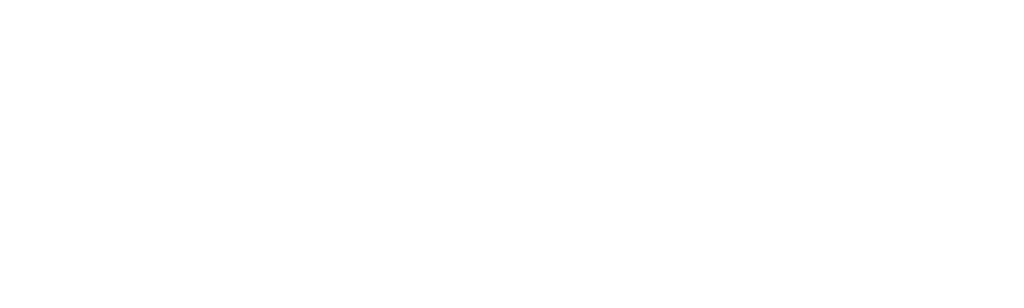 O Rei de Zanzibar