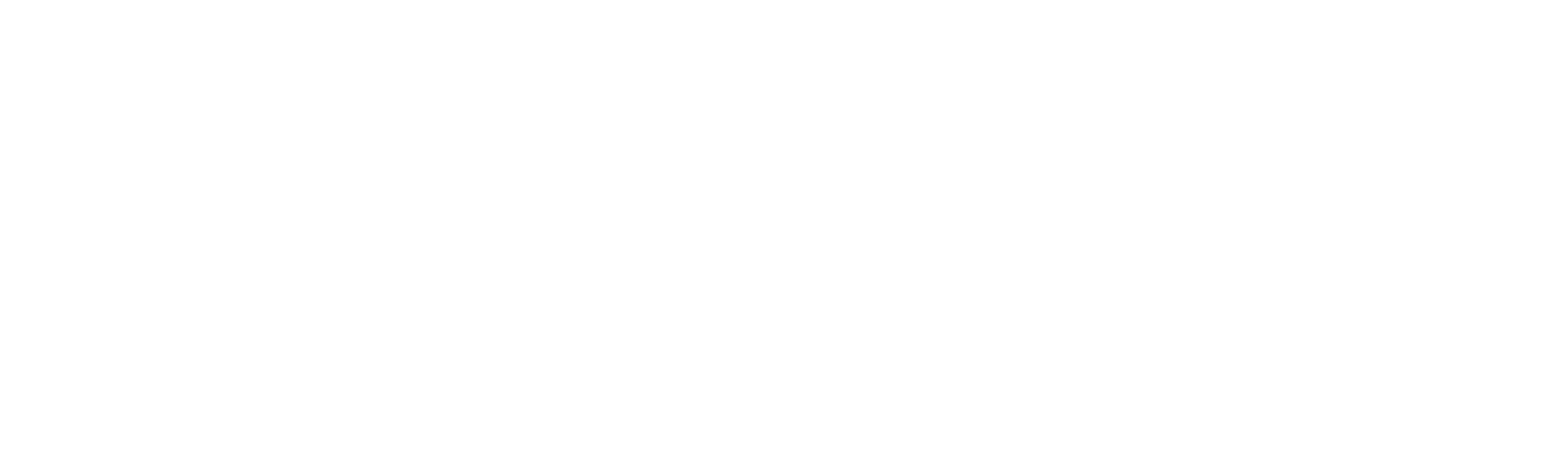 O Rei de Zanzibar