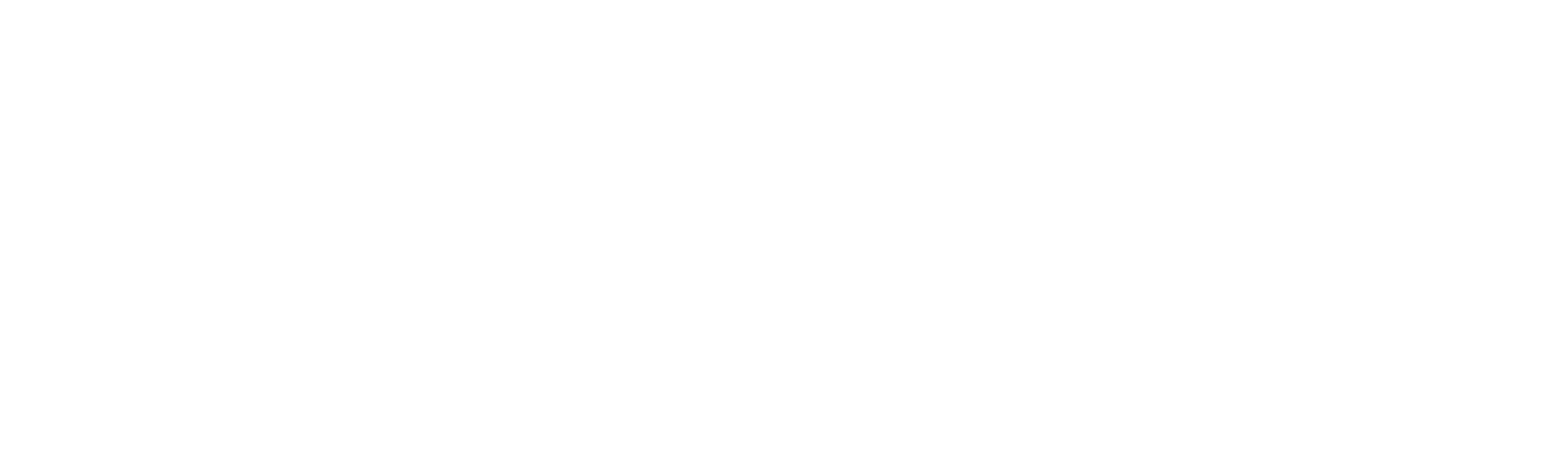 La estafa de Zanzíbar