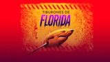 Tiburones de Florida