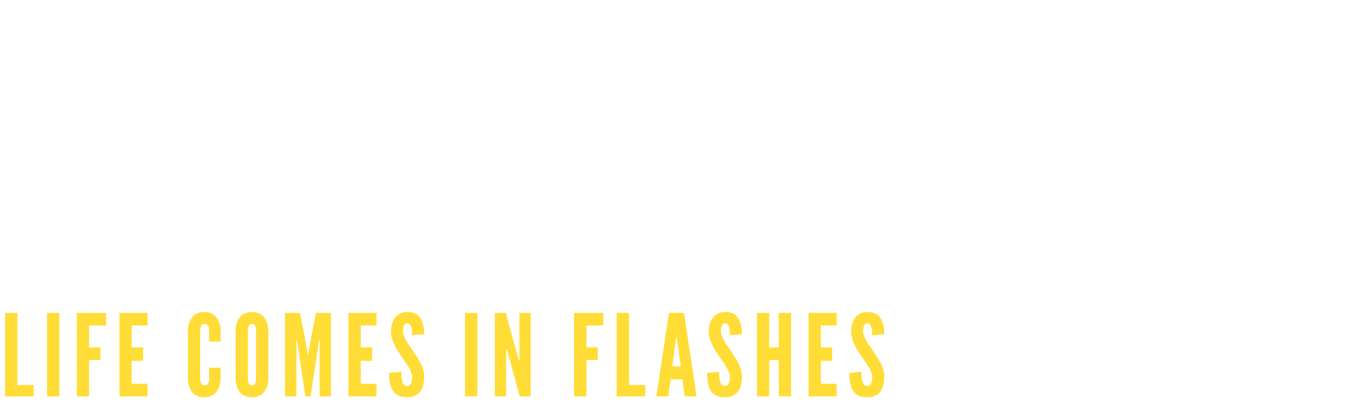 Bogart: Life Comes in Flashes