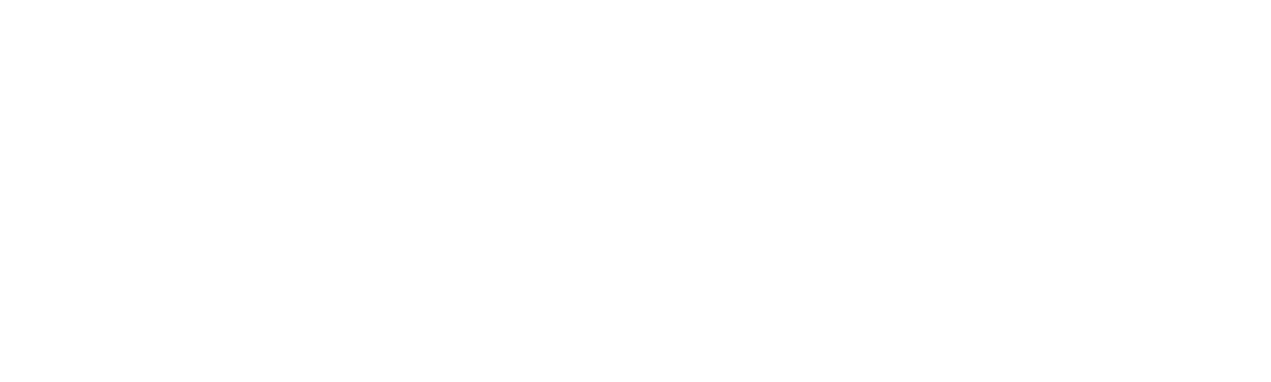Outrageous 911