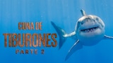 Cuna de tiburones, parte 2