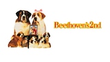 Beethoven 2